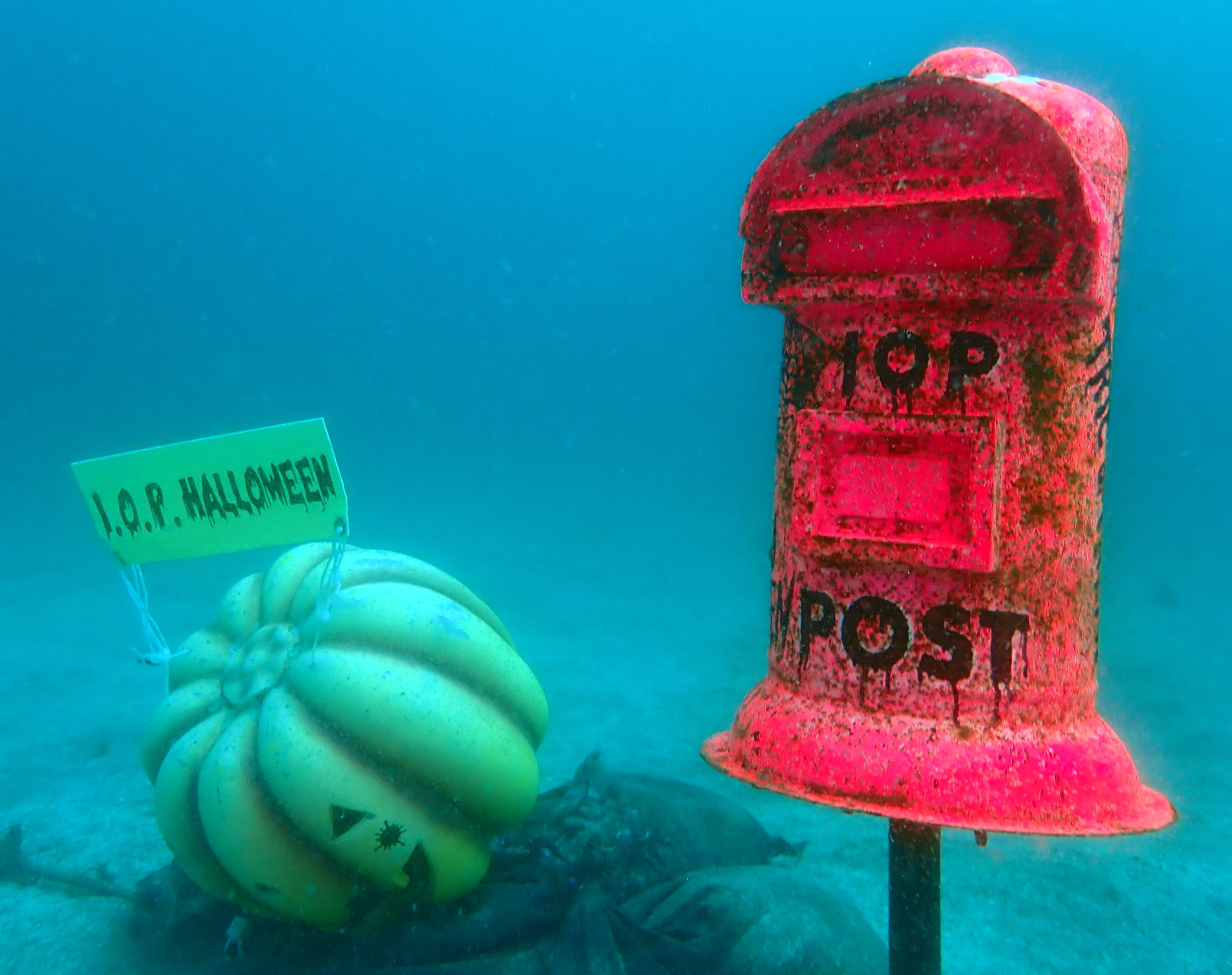 投稿についてもっと詳しく 予報通りの海洋公園