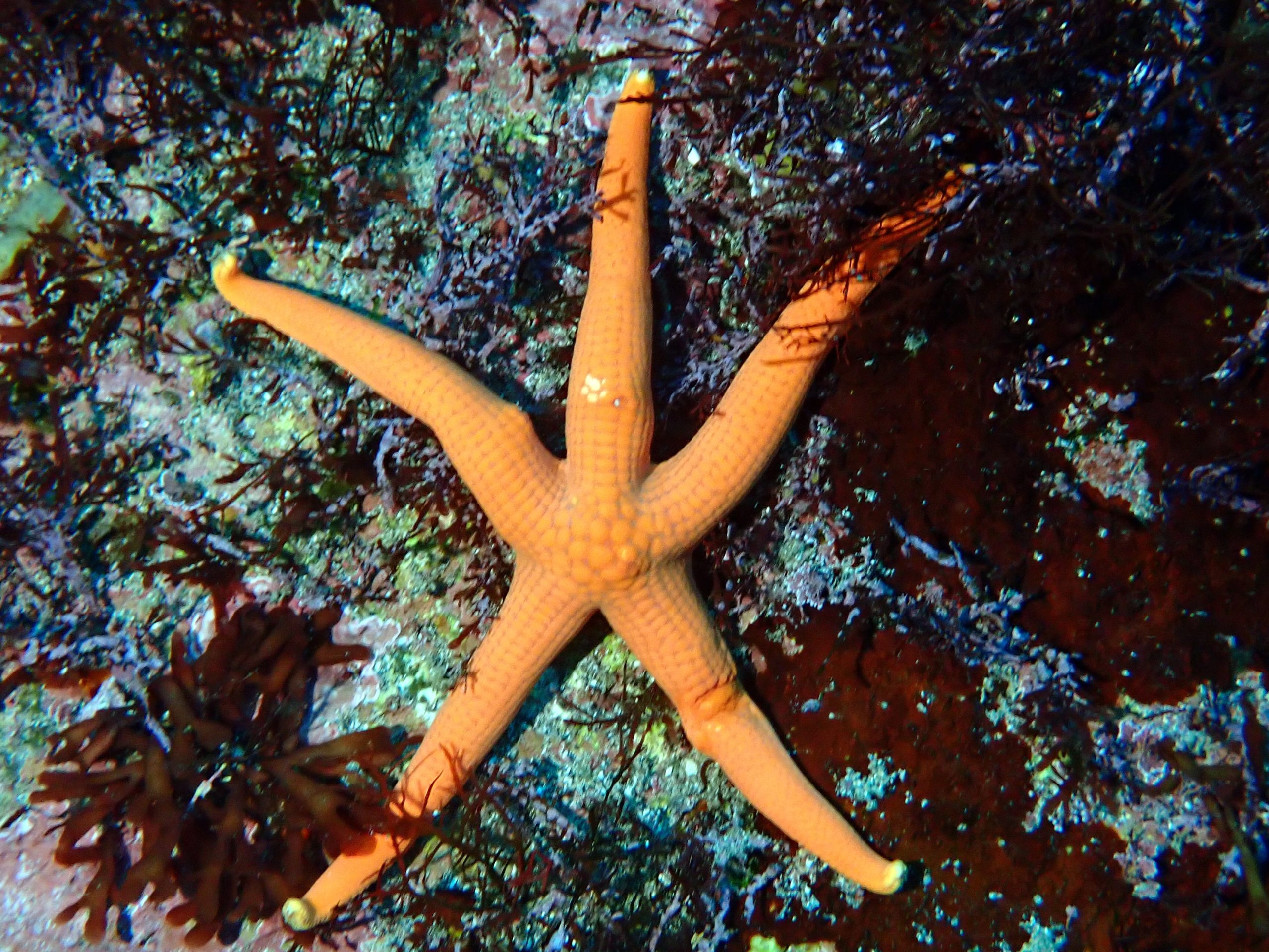 投稿についてもっと詳しく クローズ続きです