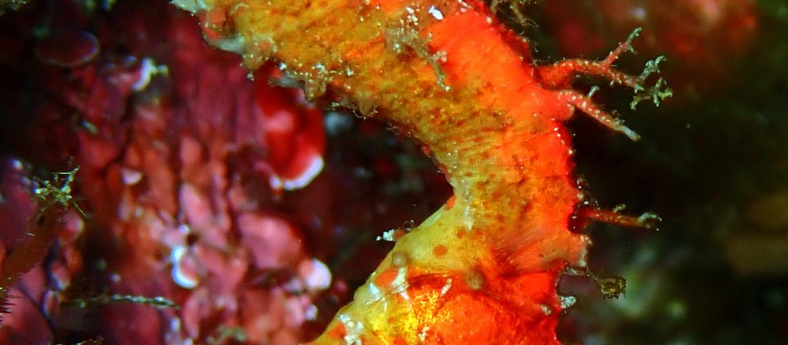 P3070005 - コピー