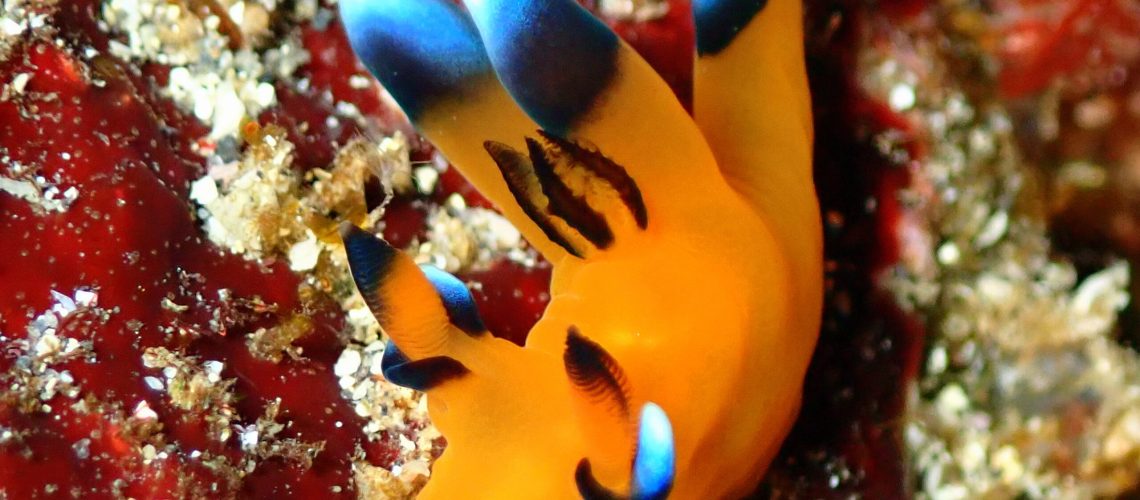 P2080013 - コピー