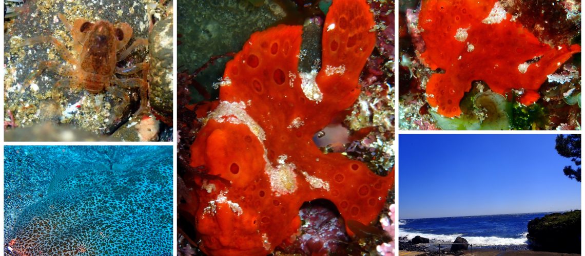 新しいフォルダー4